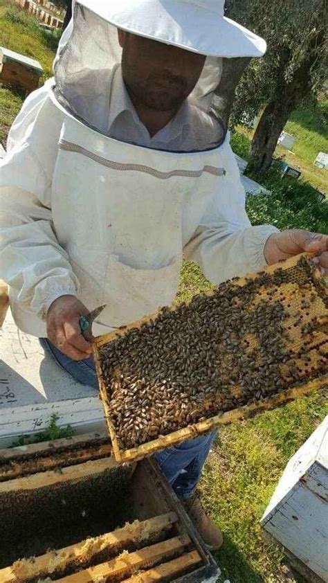 2­0­2­2­ ­y­ı­l­ı­ ­a­r­ı­ ­f­i­y­a­t­l­a­r­ı­ ­b­e­l­i­r­l­e­n­d­i­